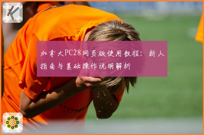 加拿大PC28网页版使用教程：新人指南与基础操作说明解析