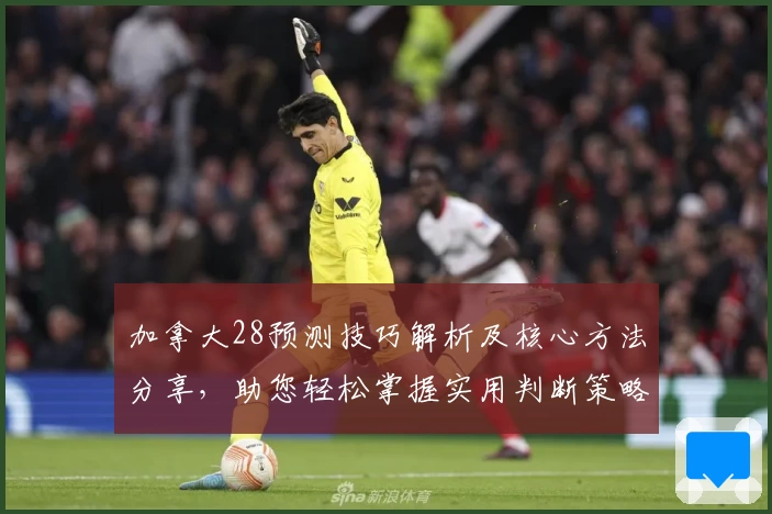 加拿大28预测技巧解析及核心方法分享，助您轻松掌握实用判断策略