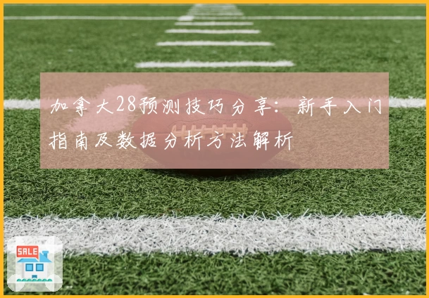 加拿大28预测技巧分享：新手入门指南及数据分析方法解析
