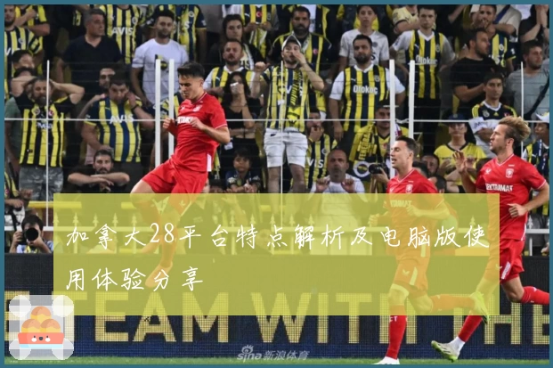 加拿大28平台特点解析及电脑版使用体验分享
