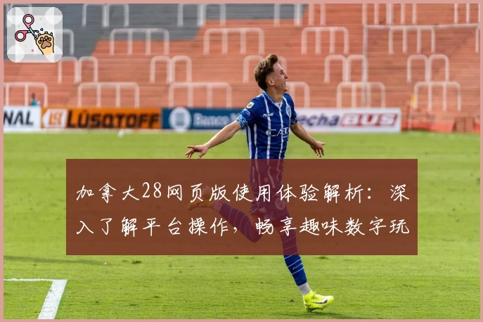 加拿大28网页版使用体验解析：深入了解平台操作，畅享趣味数字玩法