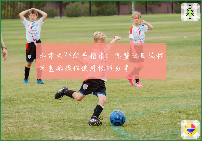 加拿大28新手指南：完整注册流程及基础操作使用技巧分享