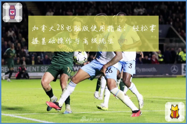 加拿大28电脑版使用指南：轻松掌握基础操作与高级玩法