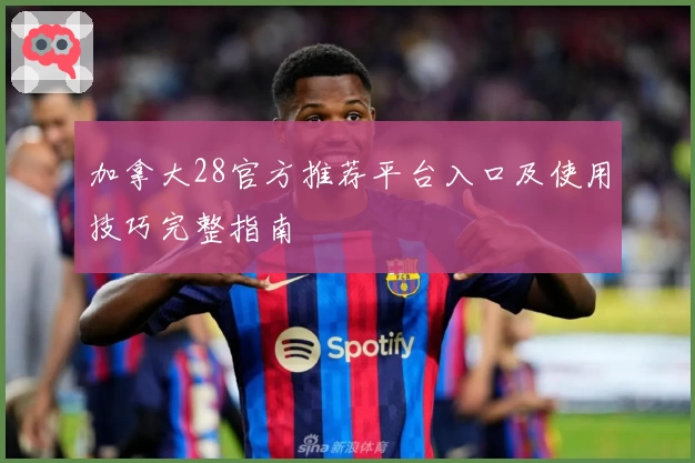 加拿大28官方推荐平台入口及使用技巧完整指南