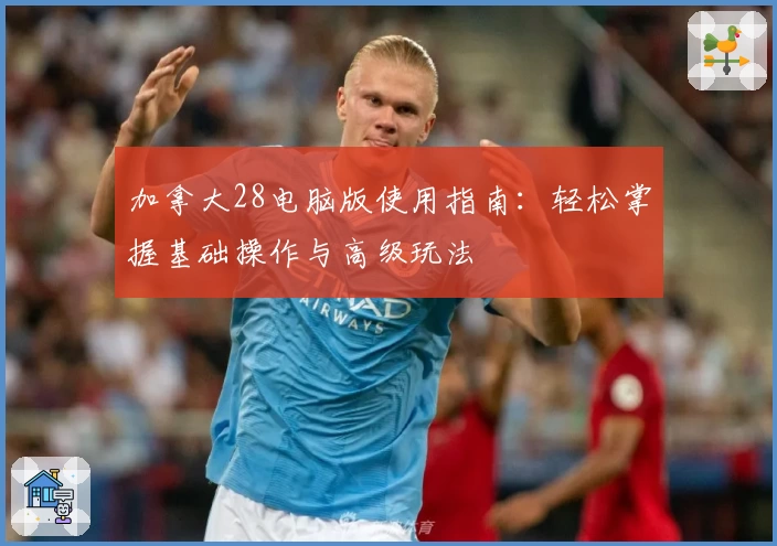 加拿大28电脑版使用指南：轻松掌握基础操作与高级玩法