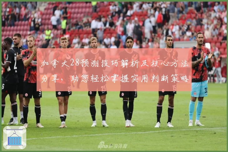 加拿大28预测技巧解析及核心方法分享，助您轻松掌握实用判断策略