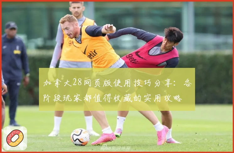 加拿大28网页版使用技巧分享：各阶段玩家都值得收藏的实用攻略