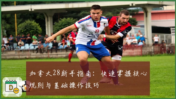 加拿大28新手指南：快速掌握核心规则与基础操作技巧